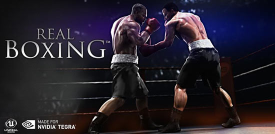 Real-Boxing for pc-myapps4pc